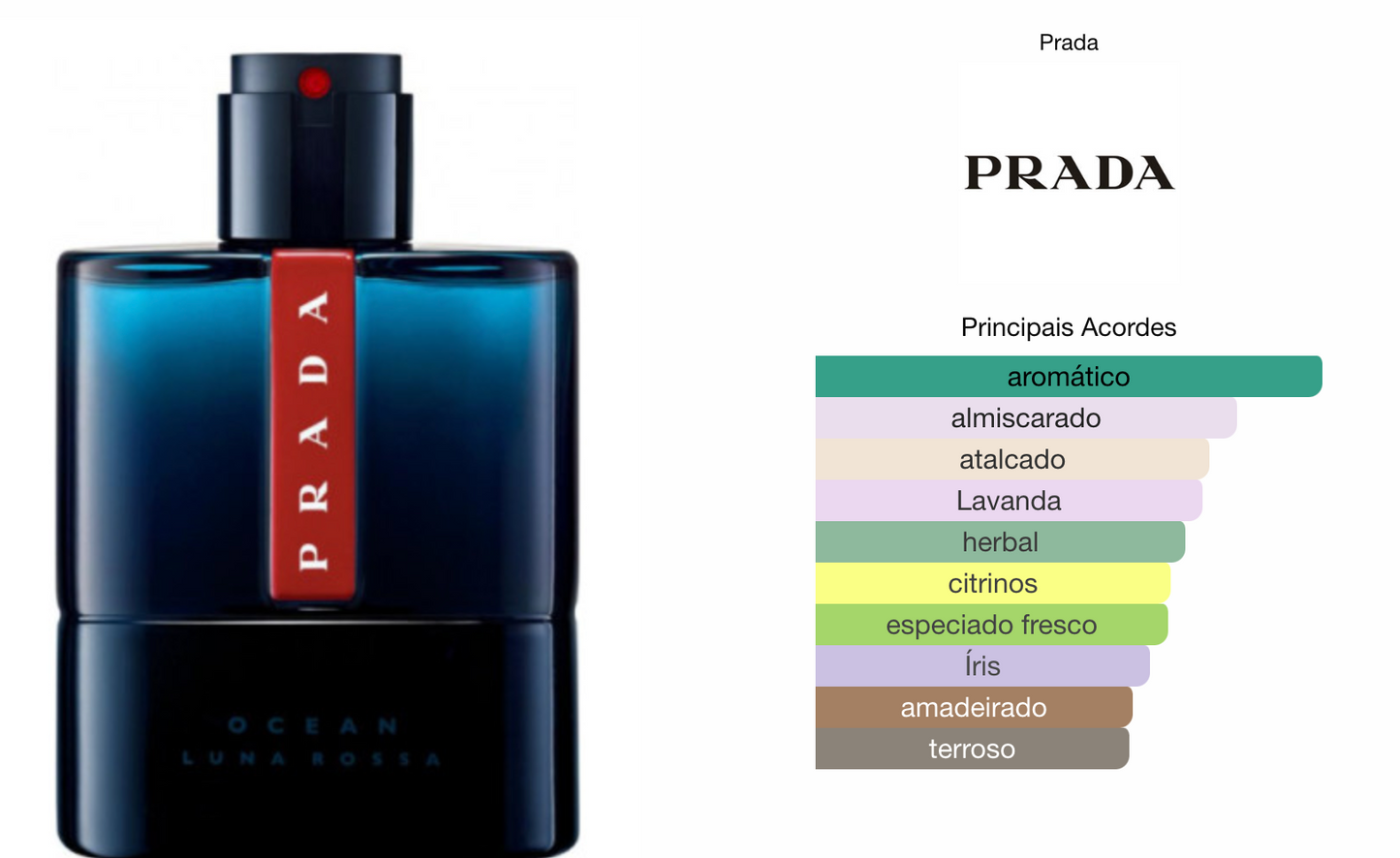 Prada Luna Rossa Ocean (decant) 5ml